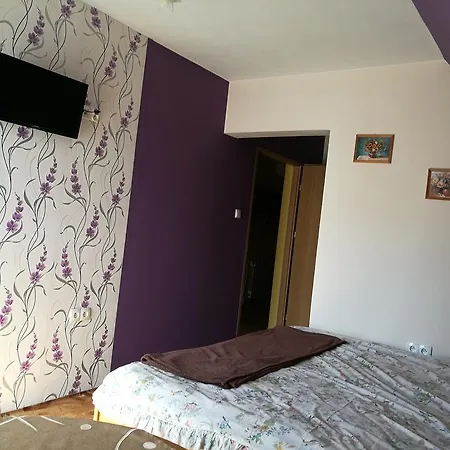 Pokoje Goscinne Zosia 考斯赛力克